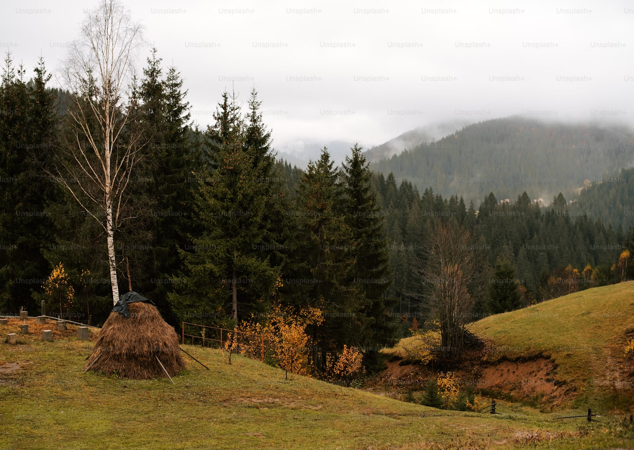 Velká Bukovina nabízí zajímavou přírodu, památky i dobré zázemí