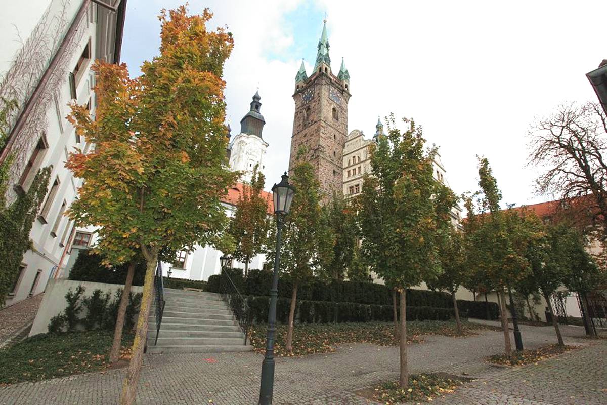 Údržba města a zeleně pro spokojenější život